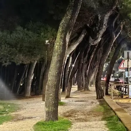 Il Mare Di Giada