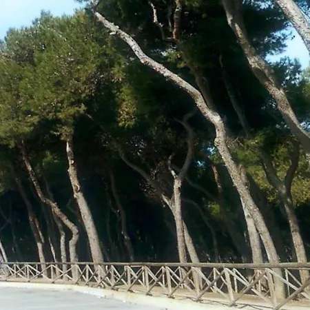 Il Mare Di Giada Appartement Porto SantʼElpidio